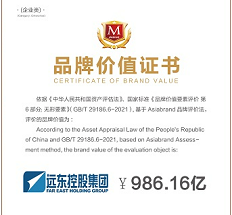 2022品牌价值证书