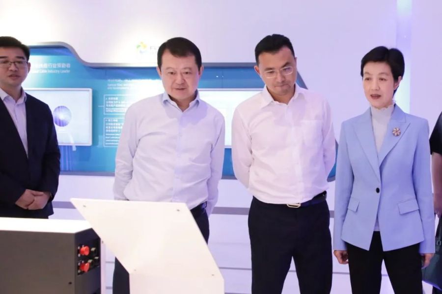 扬中市委副书记蔡萍率队来访远...