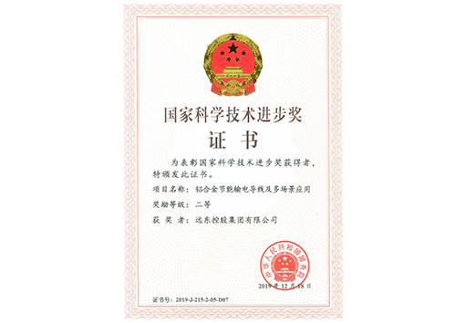 The Second Prize of the National Science and Technology Progress Award
