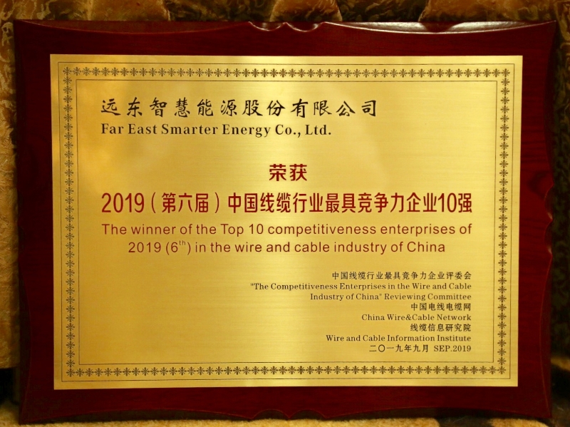 the winner of the Top 10 competitiveness enterprises of 2019...
